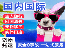 伊尔施机场邮寄国际宠物托运 【国